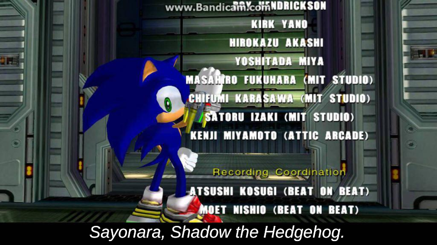 High Quality sayonara shadow the hedgehog Blank Meme Template