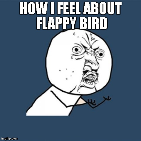 Y U No | HOW I FEEL ABOUT FLAPPY BIRD | image tagged in memes,y u no | made w/ Imgflip meme maker