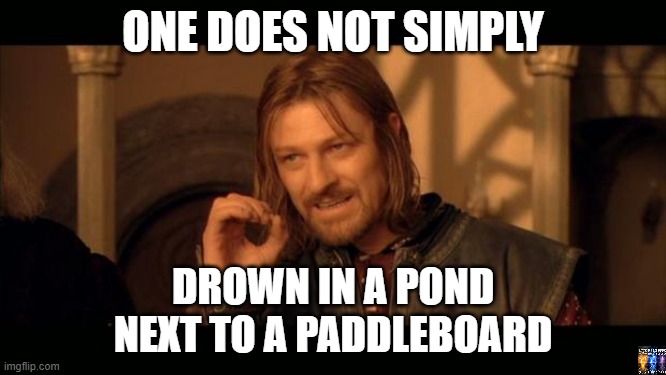 another chef | ONE DOES NOT SIMPLY; DROWN IN A POND
NEXT TO A PADDLEBOARD | image tagged in sean bean lord of the rings,obama,pizza,hot dogs,sound of freedom | made w/ Imgflip meme maker