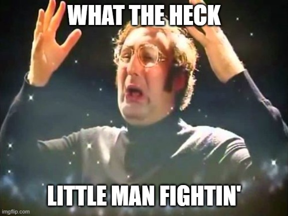 Mind Blown | WHAT THE HECK LITTLE MAN FIGHTIN' | image tagged in mind blown | made w/ Imgflip meme maker