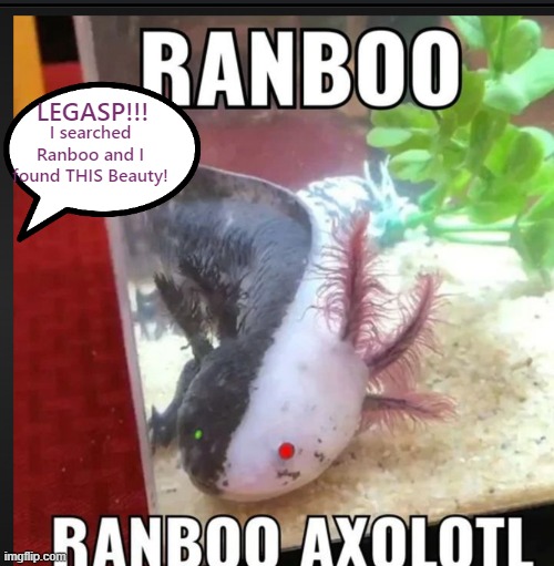 RANBOO!!!!!!!!!!!!!!!! | I searched Ranboo and I found THIS Beauty! LEGASP!!! | image tagged in ranboo,dream smp,yass,axolotls,so many tags,cute | made w/ Imgflip meme maker