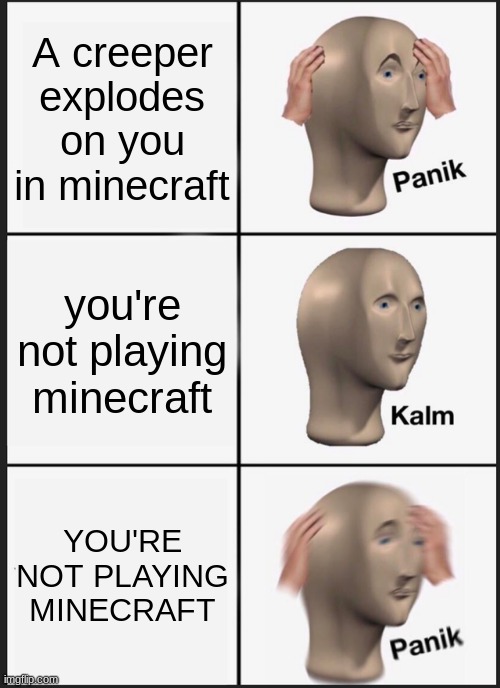 Welp. There goes my house :l | A creeper explodes on you in minecraft; you're not playing minecraft; YOU'RE NOT PLAYING MINECRAFT | image tagged in memes,panik kalm panik | made w/ Imgflip meme maker