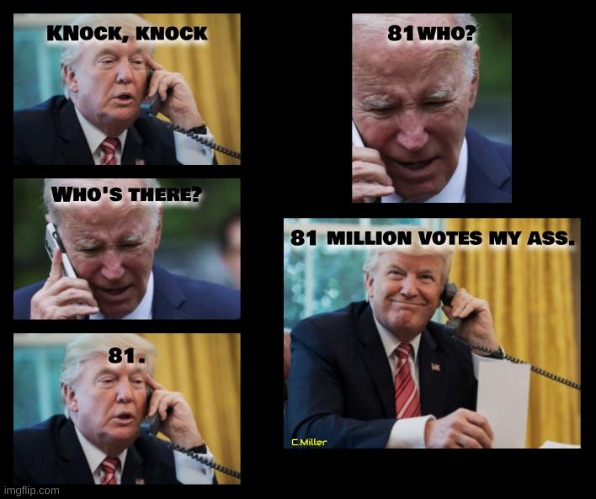 Surreal how so many believe the lie Biden got 81 million votes | image tagged in 2020 elections,rigged elections,voter fraud,donald trump,joe biden,politics | made w/ Imgflip meme maker