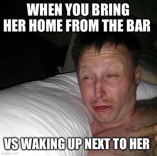 waking up | WHEN YOU BRING HER HOME FROM THE BAR; VS WAKING UP NEXT TO HER | image tagged in waking up | made w/ Imgflip meme maker