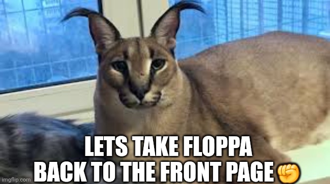 Floppa | LETS TAKE FLOPPA BACK TO THE FRONT PAGE✊ | image tagged in floppa,revolution | made w/ Imgflip meme maker