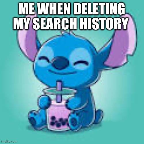 Meme | ME WHEN DELETING MY SEARCH HISTORY | image tagged in everything is alright with boba,idk | made w/ Imgflip meme maker