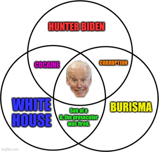 Venn diagram | HUNTER BIDEN; CORRUPTION; COCAINE; BURISMA; WHITE HOUSE; Son of a B, the prosecutor was fired. | image tagged in venn diagram | made w/ Imgflip meme maker