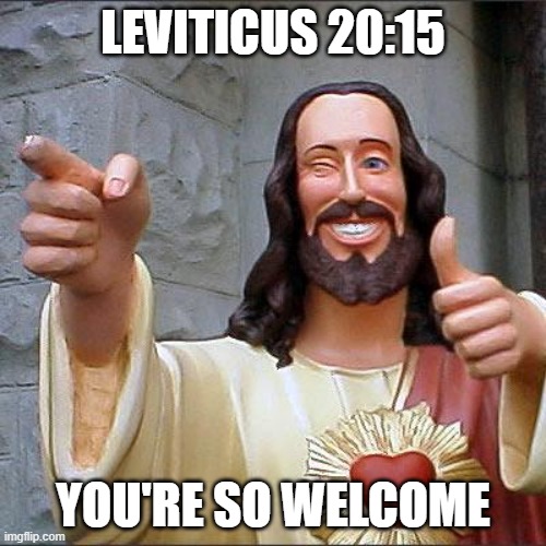 i7ywijys | LEVITICUS 20:15; YOU'RE SO WELCOME | image tagged in memes,buddy christ | made w/ Imgflip meme maker