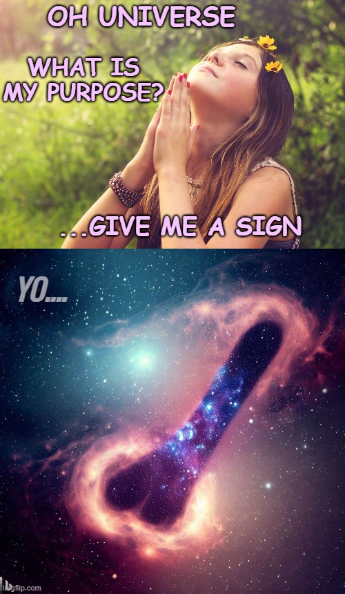 OH UNIVERSE; WHAT IS MY PURPOSE? ...GIVE ME A SIGN; YO.... | image tagged in funny,hippies | made w/ Imgflip meme maker