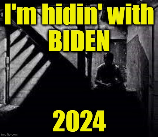 The Basement Strategy | I'm hidin' with
BIDEN; 2024 | image tagged in biden | made w/ Imgflip meme maker