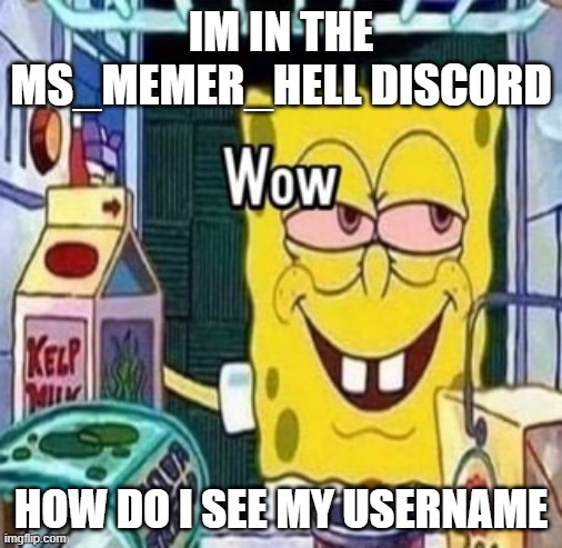 Wow bob | IM IN THE MS_MEMER_HELL DISCORD; HOW DO I SEE MY USERNAME | image tagged in wow bob | made w/ Imgflip meme maker