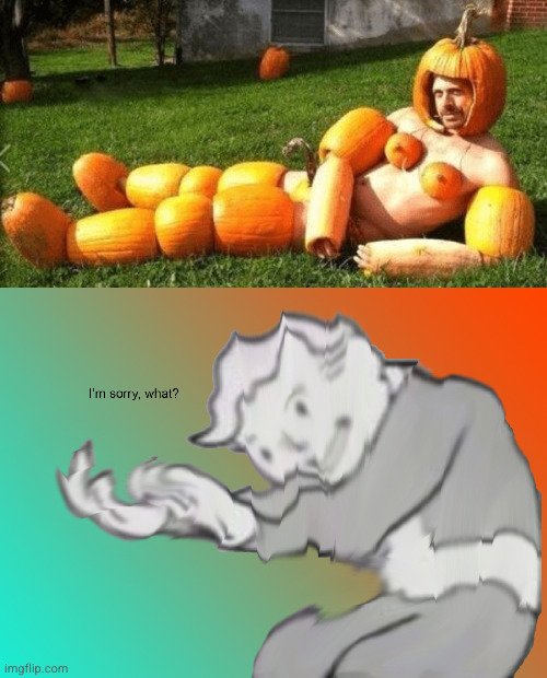 Meme #3,031 | image tagged in i'm sorry what,memes,pumpkin,clothes,cursed image,weird | made w/ Imgflip meme maker
