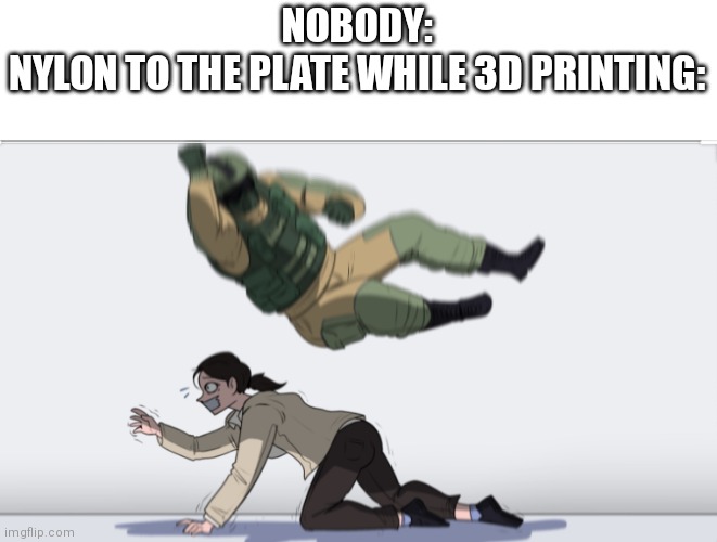 For those who 3d print | NOBODY:
NYLON TO THE PLATE WHILE 3D PRINTING: | image tagged in body slam,memes,nylon,3d printing | made w/ Imgflip meme maker