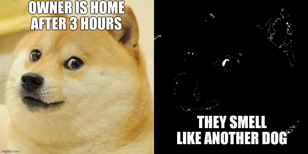 Doge becomes uncanny | OWNER IS HOME AFTER 3 HOURS; THEY SMELL LIKE ANOTHER DOG | image tagged in doge becomes uncanny | made w/ Imgflip meme maker