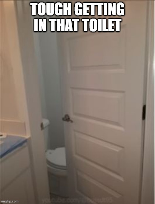 Toilet Mishaps | TOUGH GETTING IN THAT TOILET | image tagged in you had one job | made w/ Imgflip meme maker