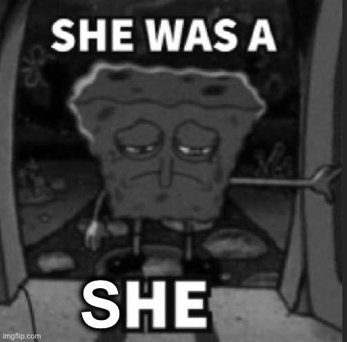 She was a he | S | image tagged in she was a he | made w/ Imgflip meme maker