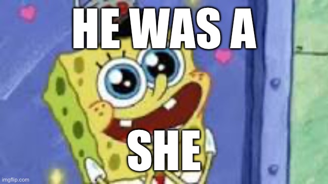 Happy Spongebob | HE WAS A; SHE | image tagged in happy spongebob | made w/ Imgflip meme maker