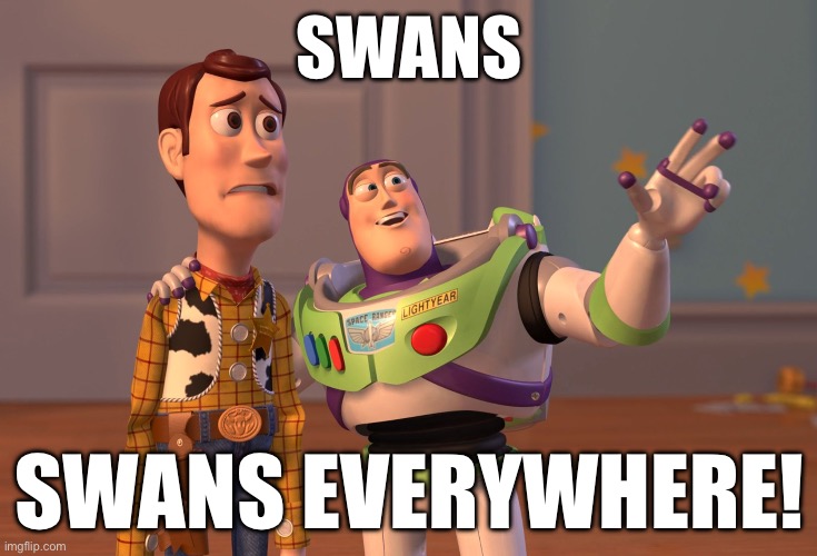 Got bored | SWANS; SWANS EVERYWHERE! | image tagged in memes,x x everywhere,swan,random,bored | made w/ Imgflip meme maker