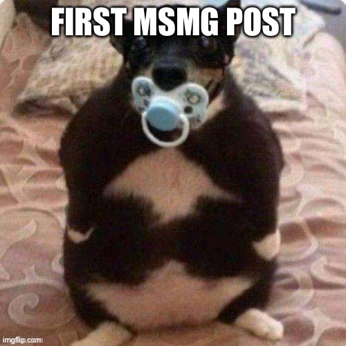 FIRST MSMG POST | made w/ Imgflip meme maker