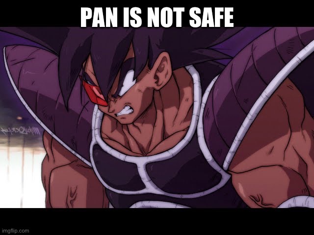 The names tuuuuuuurles | PAN IS NOT SAFE | made w/ Imgflip meme maker