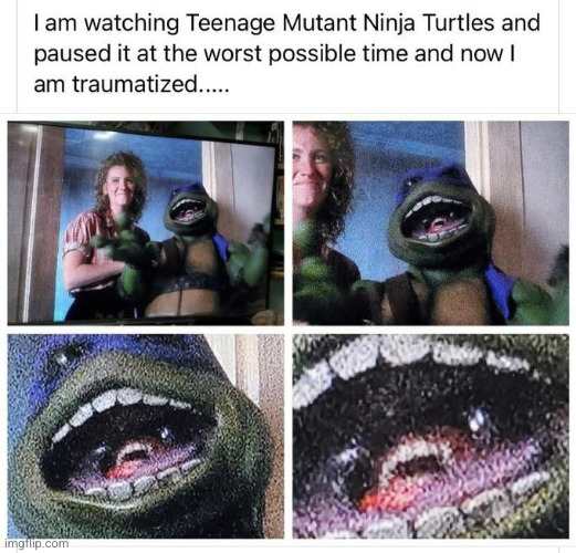 Meme #3,034 | image tagged in memes,repost,teenage mutant ninja turtles,cursed,pause,turtle | made w/ Imgflip meme maker