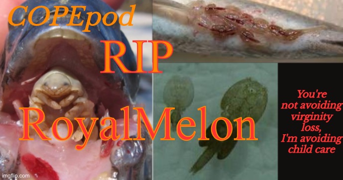 COPEpod's announcement template | RIP; RoyalMelon | image tagged in copepod's announcement template | made w/ Imgflip meme maker