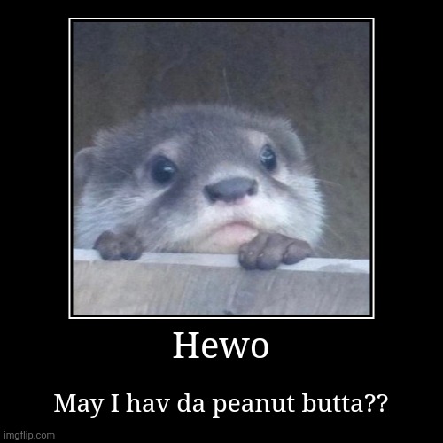 Otter asks for peanut | Hewo | May I hav da peanut butta?? | image tagged in funny,demotivationals,wholesome,otter,peanut butter | made w/ Imgflip demotivational maker