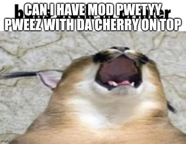 Balls stuck In printer | CAN I HAVE MOD PWETYY PWEEZ WITH DA CHERRY ON TOP | image tagged in balls stuck in printer | made w/ Imgflip meme maker