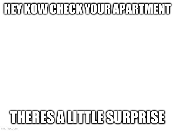 It wasnt me i swear | HEY KOW CHECK YOUR APARTMENT; THERES A LITTLE SURPRISE | image tagged in blank white template | made w/ Imgflip meme maker