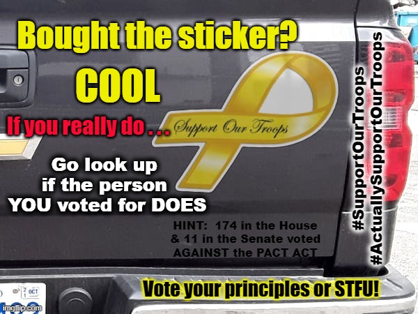 Support Our Troops - Really | Bought the sticker? COOL; If you really do . . . #SupportOurTroops
#ActuallySupportOurTroops; Go look up 
if the person 
YOU voted for DOES; HINT:  174 in the House
& 11 in the Senate voted
AGAINST the PACT ACT; Vote your principles or STFU! | made w/ Imgflip meme maker