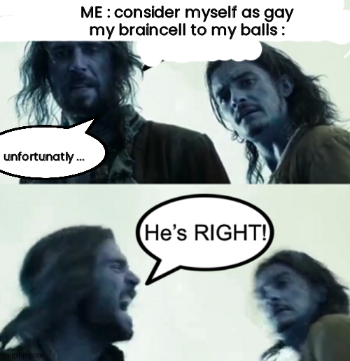title go brrrrrr | ME : consider myself as gay
my braincell to my balls :; unfortunatly ... | image tagged in unfortunately mr turner he s right,balls,gay,meme | made w/ Imgflip meme maker