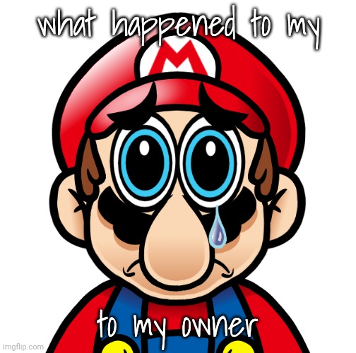 i have suddenly been demoted, explain | what happened to my; to my owner | image tagged in spunch bob mario updated | made w/ Imgflip meme maker