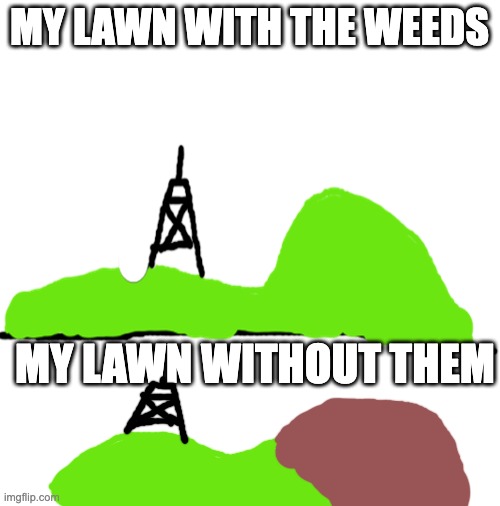 it's literally atleast 35% weed lol | MY LAWN WITH THE WEEDS; MY LAWN WITHOUT THEM | image tagged in blank white template,memes,backyard,grass | made w/ Imgflip meme maker
