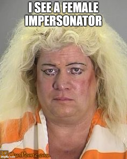 Ugly man woman wig | I SEE A FEMALE IMPERSONATOR | image tagged in ugly man woman wig | made w/ Imgflip meme maker