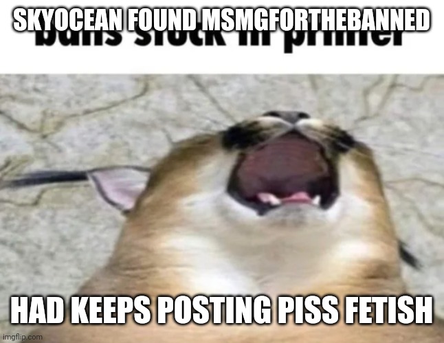 Mod there :crying: | SKYOCEAN FOUND MSMGFORTHEBANNED; HAD KEEPS POSTING PISS FETISH | image tagged in balls stuck in printer | made w/ Imgflip meme maker