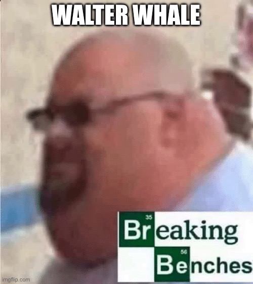 Walter Whale | WALTER WHALE | image tagged in breaking benches | made w/ Imgflip meme maker