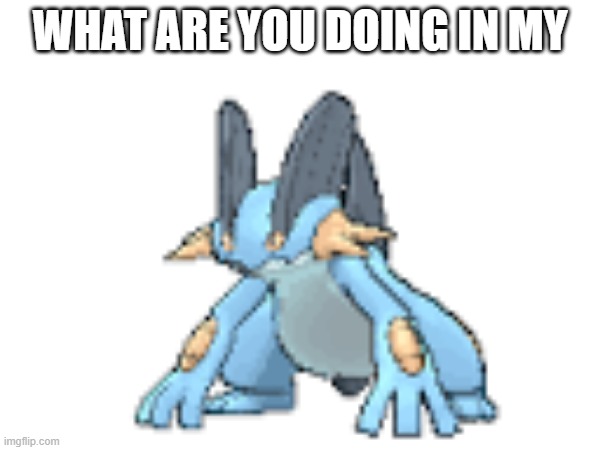 what are you doing in my swamp(ert) | WHAT ARE YOU DOING IN MY | image tagged in pokemon,shrek,meme,swampert,mudkip | made w/ Imgflip meme maker