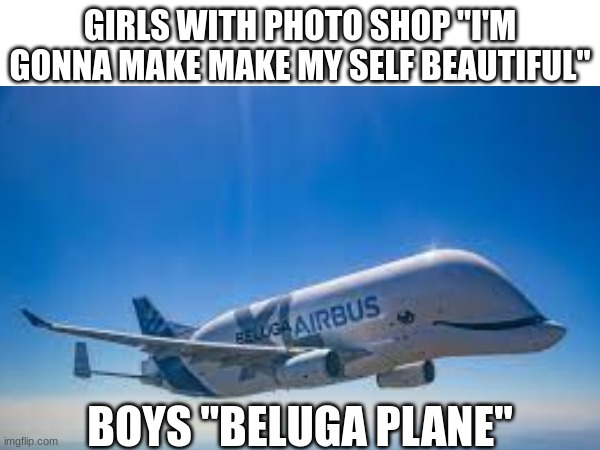 the boys | GIRLS WITH PHOTO SHOP "I'M GONNA MAKE MAKE MY SELF BEAUTIFUL"; BOYS "BELUGA PLANE" | image tagged in fun,beluga,plane | made w/ Imgflip meme maker