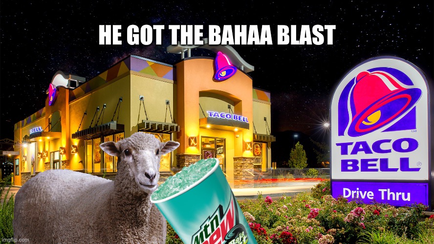 Bahaaa blast | HE GOT THE BAHAA BLAST | image tagged in tacobell,fresh memes,fun | made w/ Imgflip meme maker