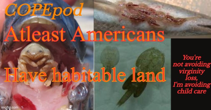 COPEpod's announcement template | Atleast Americans; Have habitable land | image tagged in copepod's announcement template | made w/ Imgflip meme maker