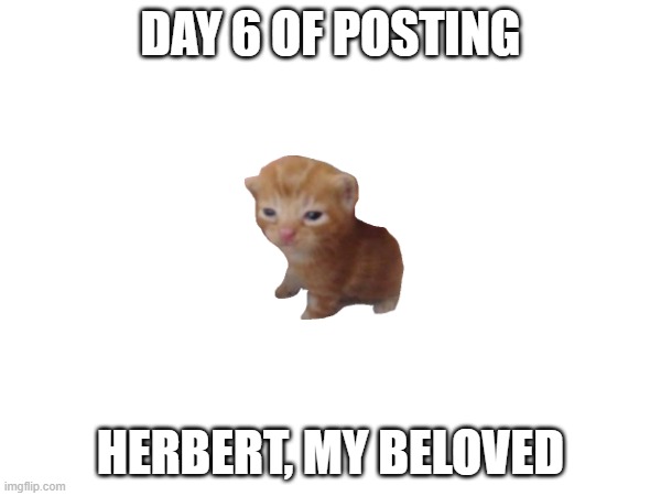 herbert, my beloved | DAY 6 OF POSTING; HERBERT, MY BELOVED | image tagged in herbert | made w/ Imgflip meme maker