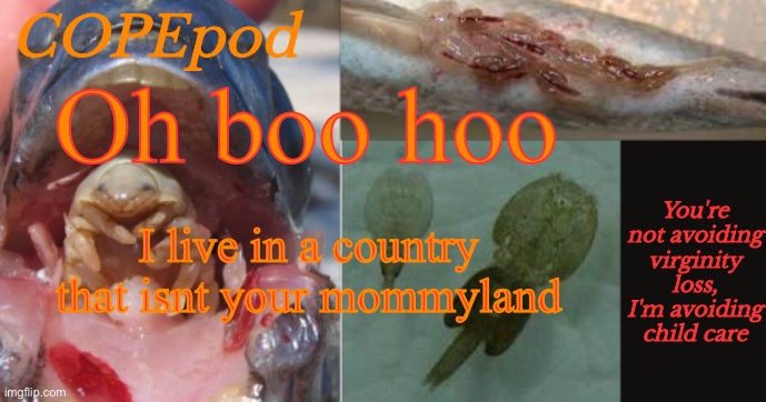 COPEpod's announcement template | Oh boo hoo; I live in a country that isnt your mommyland | image tagged in copepod's announcement template | made w/ Imgflip meme maker