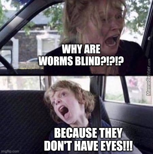 Worms don't have eyes | WHY ARE WORMS BLIND?!?!? BECAUSE THEY DON'T HAVE EYES!!! | image tagged in why can't you just be normal blank | made w/ Imgflip meme maker