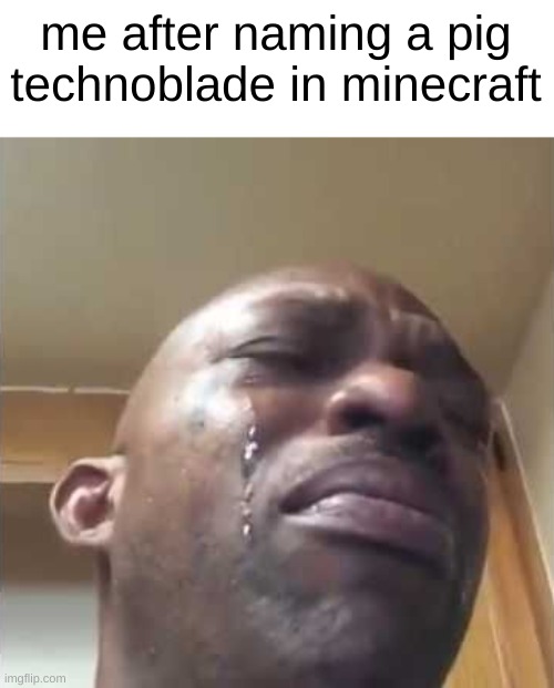 :( | me after naming a pig technoblade in minecraft | image tagged in crying guy meme | made w/ Imgflip meme maker