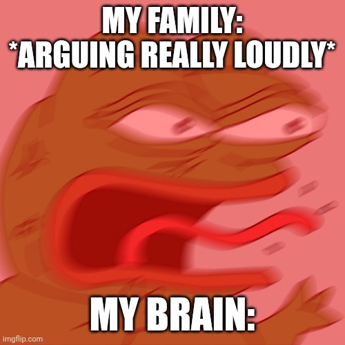 Sensory overload | MY FAMILY: *ARGUING REALLY LOUDLY*; MY BRAIN: | image tagged in reeeeeeeeeeeeeeeeeeeeee | made w/ Imgflip meme maker