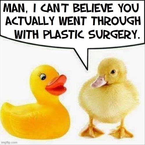Rubber ducky toy of toys,  when I squeeze you you make noise | image tagged in vince vance,rubber ducky,ducks,plastic surgery,duckling,memes | made w/ Imgflip meme maker