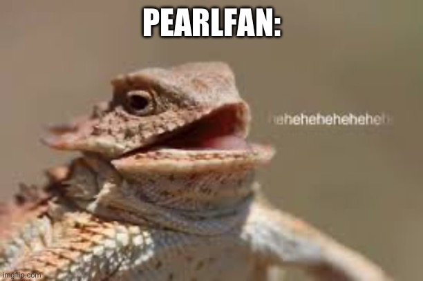 heheheheh dragon | PEARLFAN: | image tagged in heheheheh dragon | made w/ Imgflip meme maker
