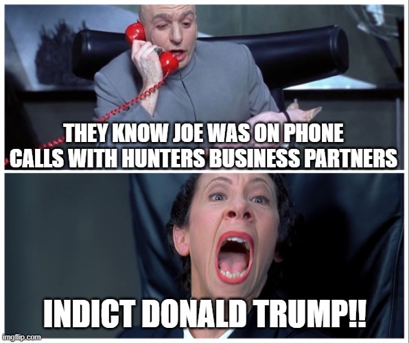 Dr Evil and Frau Yelling | THEY KNOW JOE WAS ON PHONE CALLS WITH HUNTERS BUSINESS PARTNERS; INDICT DONALD TRUMP!! | image tagged in dr evil and frau yelling | made w/ Imgflip meme maker