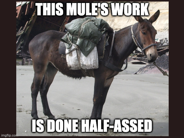 Half-Assed Mule | THIS MULE'S WORK; IS DONE HALF-ASSED | image tagged in mule,half-assed,work | made w/ Imgflip meme maker