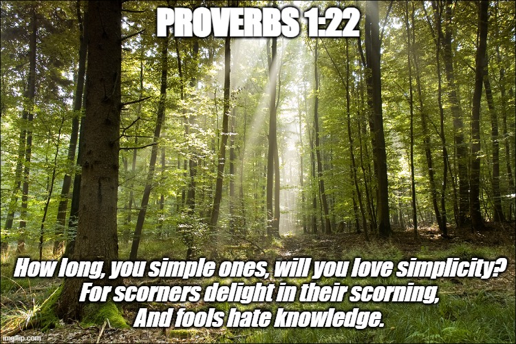 Bible Verse of the Day | PROVERBS 1:22; How long, you simple ones, will you love simplicity?
For scorners delight in their scorning,
And fools hate knowledge. | image tagged in christiansonly,fools,bible verse | made w/ Imgflip meme maker